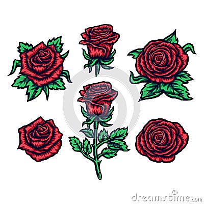 Set of rose isolated on white Vector Illustration