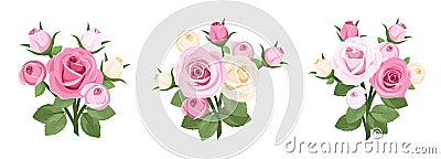 Set of roses branches. Vector Illustration