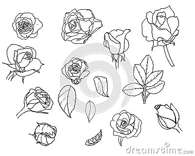 Set of roses. Sketch. Vector Illustration