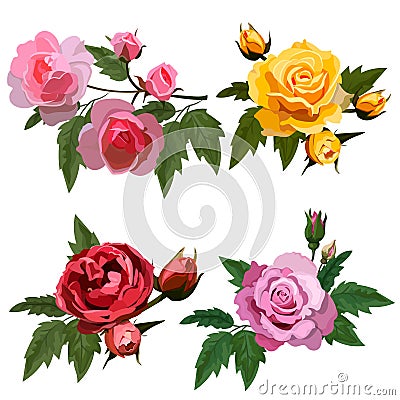 Set with roses Vector Illustration