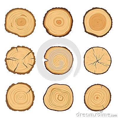 Set of round cross-sections of a tree with a different ring pattern isolated on a white background. Vector illustration Vector Illustration