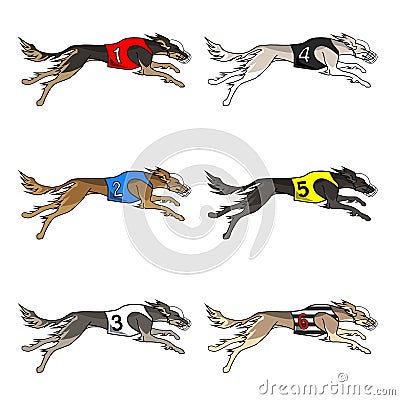 Set of running dog saluki breed Vector Illustration