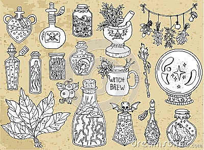 Set of scary Halloween traditional symbols and objects with witch bottles, herbs and magic potion Vector Illustration