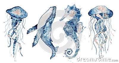 Set of sea animals. Blue watercolor ocean fish, Medusa, whale, seahorse Cartoon Illustration