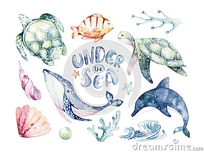 Set of sea animals. Blue watercolor ocean fish, turtle, whale and coral. Shell aquarium background. Nautical wildlife Cartoon Illustration