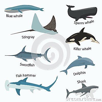 Set of sea creatures Vector Illustration