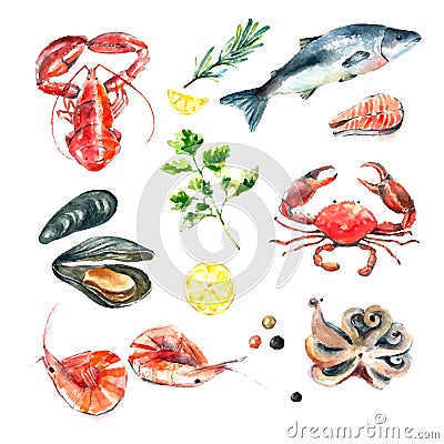 Set of seafood watercolor. Vector Illustration