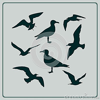 Set of seagulls silhouettes Vector Illustration