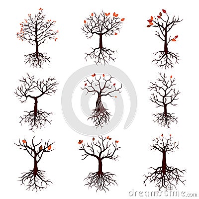 Set of Season Trees and Roots Stock Photo