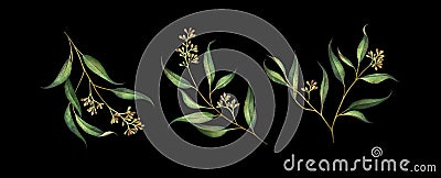 Set of seeded eucalyptus branches isolated on black background. Cartoon Illustration