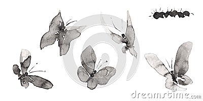 Set 8 with seven differents forms butterfly and caterpillar pictures isolated on white. Hand drawn china ink on paper textures. Stock Photo
