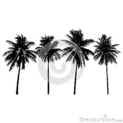 Set of silhouette coconut palm trees, natural sign, vector illustrati Cartoon Illustration