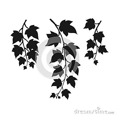 Set of silhouette ivy branch. Hand drawn illustration converted to vector Vector Illustration