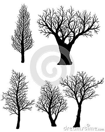 Set of silhouettes of bare trees on a white background. Stock Photo