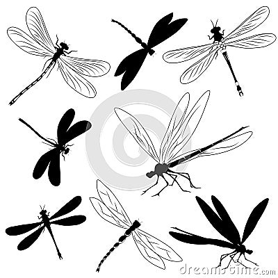 Set of silhouettes of dragonflies, tattoo Vector Illustration