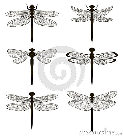 Set of silhouettes of dragonflies Vector Illustration