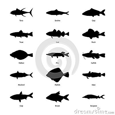 Set of silhouettes of fishes, vector illustration Vector Illustration
