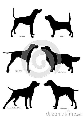 Set of silhouettes of hunting dogs Vector Illustration