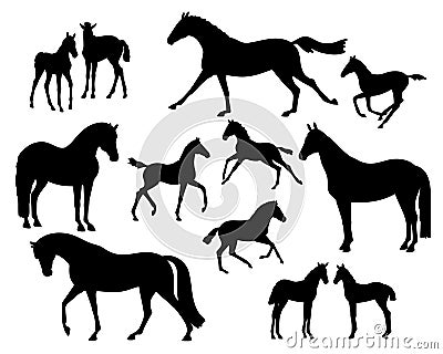 Set of silhouettes of a mare with foals Vector Illustration