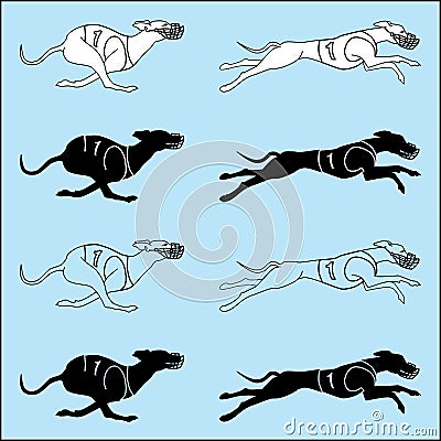 Set of silhouettes running dog whippet breed Vector Illustration