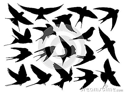 The set silhouettes of swallows. Vector Illustration