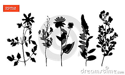 Set silhouettes of wild flowers vector illustration Vector Illustration