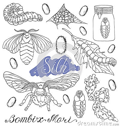 Set with silk worms and moth Cartoon Illustration