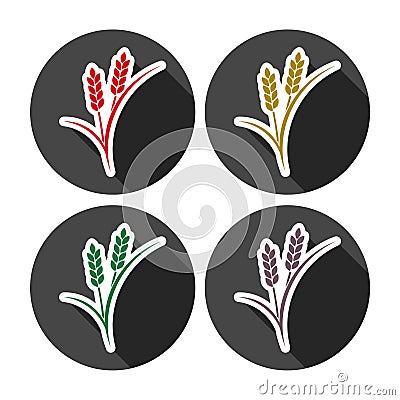 Set of simple colorful wheat ears Vector Illustration