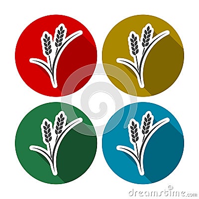 Set of simple colorful wheat ears Vector Illustration