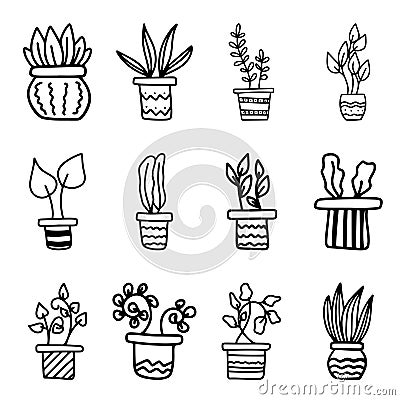 Set of simple doodle Vector houseplants and flowers in pots. Vector flat illustration Vector Illustration