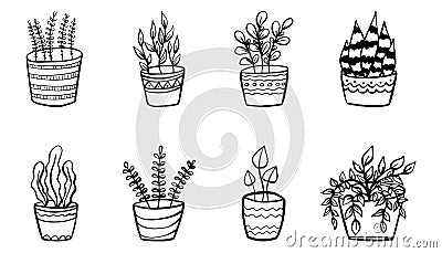 Set of simple doodle Vector houseplants and flowers in pots. Vector flat illustration Vector Illustration