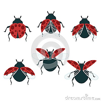 Set of simple flat beetle with different wings collection insects flat vector illustration isolated on white background Cartoon Illustration