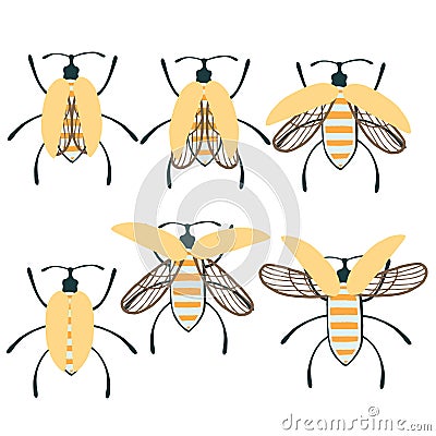 Set of simple flat beetle with different wings collection insects flat vector illustration isolated on white background Cartoon Illustration