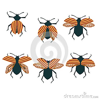 Set of simple flat beetle with different wings collection insects flat vector illustration isolated on white background Cartoon Illustration