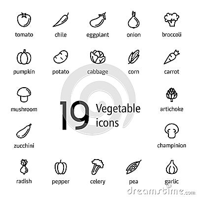 Set of simple flat vegetable line icons isolated on white background. Pictograms for web application or menu. - Vector Vector Illustration