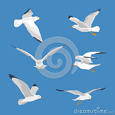 Set of simple flyingl seagull Vector Illustration