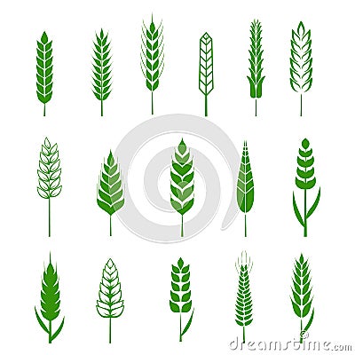 Set of simple wheats ears green icons and grain design elements for beer, organic wheats local farm fresh food, bakery Vector Illustration