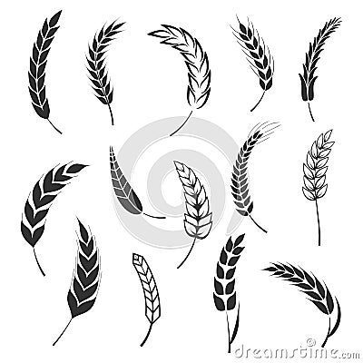 Set of simple wheats ears icons and wheat logo design elements for beer, organic fresh food corn farm, bakery themed Vector Illustration