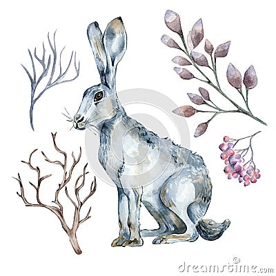 Set of sitting hare and plants watercolor illustration isolated on white. Cartoon Illustration