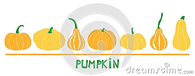Set with six pumpkins: bottle gourd; cinderella variety; butternut. Vector Illustration