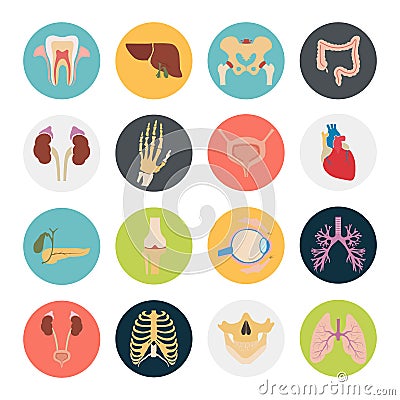 Set of sixteen human organs and anatomic parts color flat icons Stock Photo