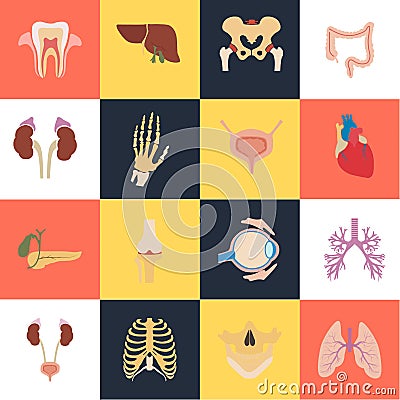 Set of sixteen human organs and anatomic parts color flat icons Vector Illustration