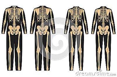 Set of Skeleton costume Human bones on bodysuit front back view men women for Halloween, festivals, printing on clothes Vector Illustration