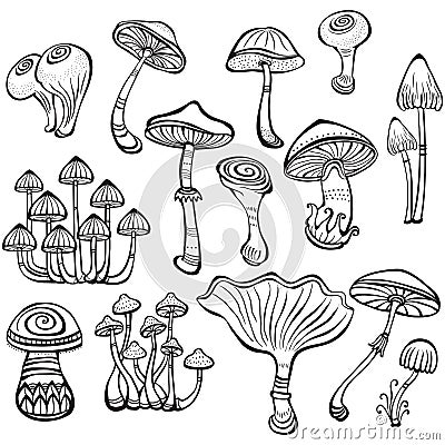 Set of Sketch of mushrooms Vector Illustration