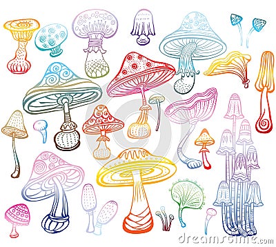 Set of Sketch of mushrooms Vector Illustration