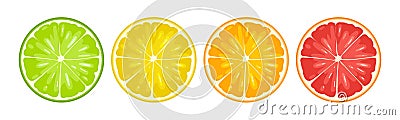 Set slice citrus fruits. Vector color flat illustration lemon, orange, grapefruit, lime. Vector Illustration