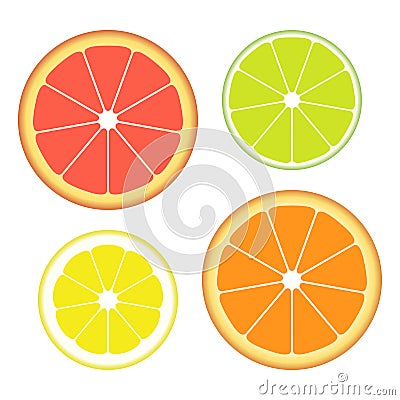 Set of slices of different citrus fruits isolated on white background. Juicy fruit. Vector Illustration. Vector Illustration