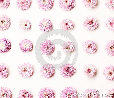 Set of small chrysanthemum flowers Stock Photo