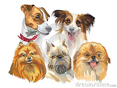 Set of small dog breeds Vector Illustration