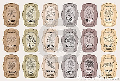 Set of spice jar labels with herbs sketches vector Vector Illustration